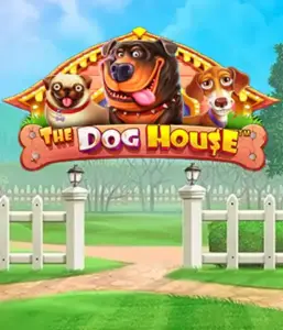 Experience Pragmatic Play's The Dog House, featuring an adorable experience through charming canines. Engage in gameplay elements such as free spins, perfect for providing entertaining gameplay. Perfect for animal enthusiasts a cheerful atmosphere with a chance for big wins.