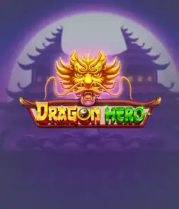 Embark on a mythical quest with Dragon Hero by Pragmatic Play, featuring vivid visuals of powerful dragons and heroic battles. Discover a land where legend meets excitement, with symbols like enchanted weapons, mystical creatures, and treasures for a mesmerizing adventure.